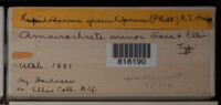 Image Associated With the Occurence